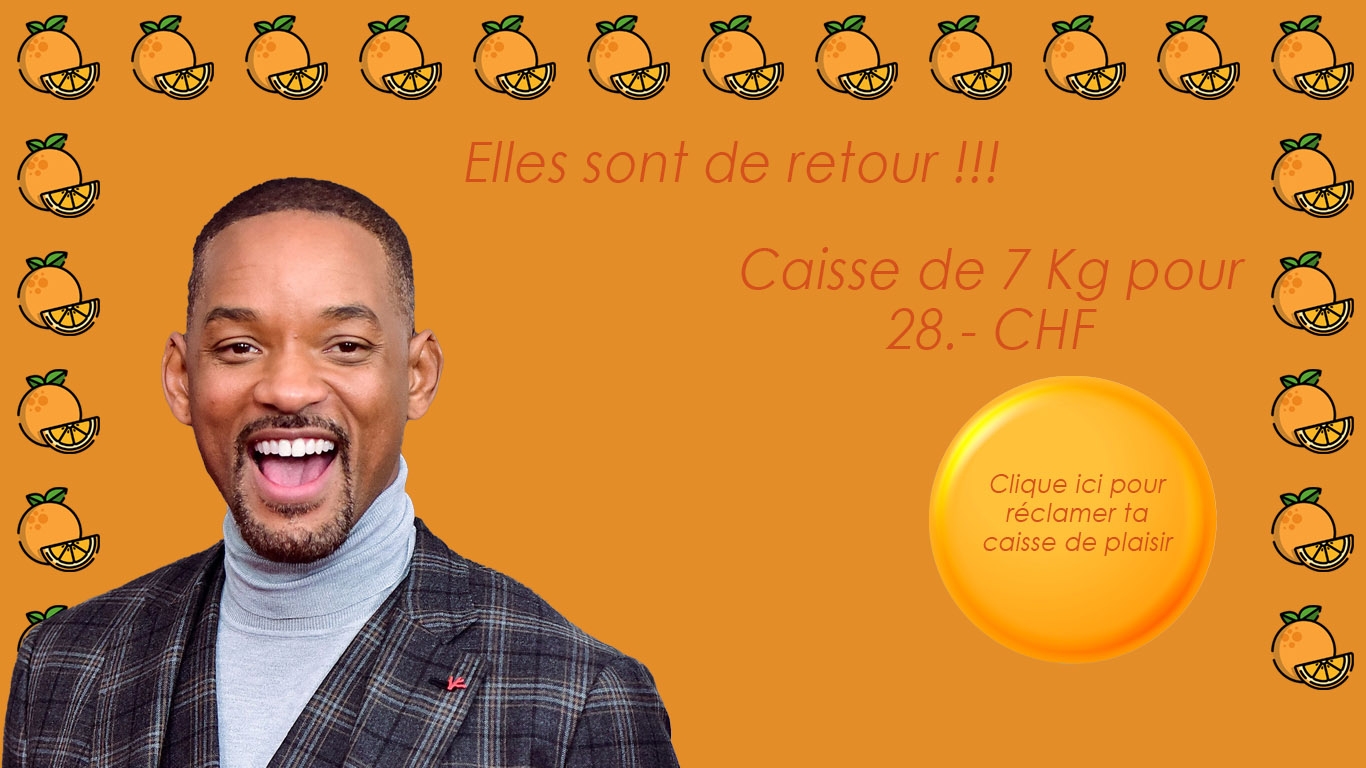 Les ORANGES DE SICILE !